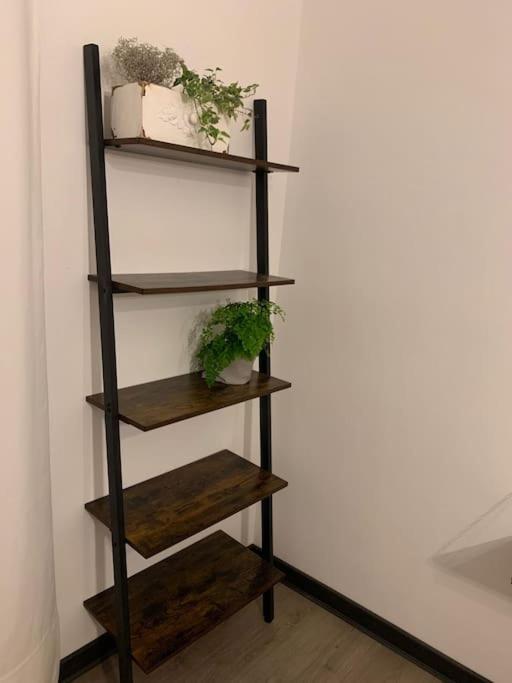 Dga Loft In Padua Center A Few Steps From Squaresアパートメント エクステリア 写真