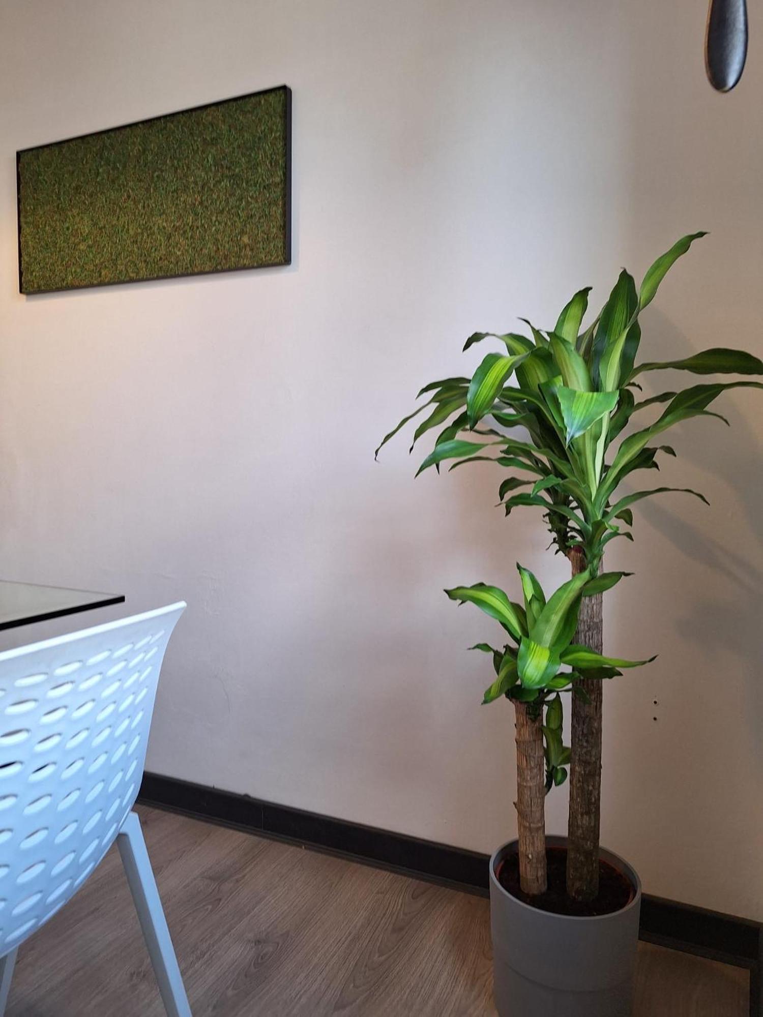 Dga Loft In Padua Center A Few Steps From Squaresアパートメント エクステリア 写真